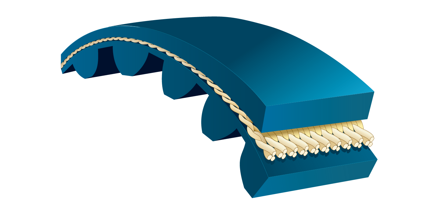 Correas Dentadas de Distribución