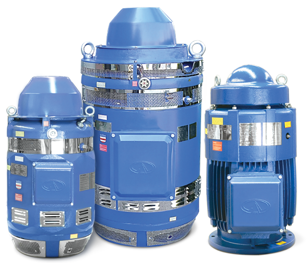 Aurora 3 Phase Premium Efficiency Vertical Motors