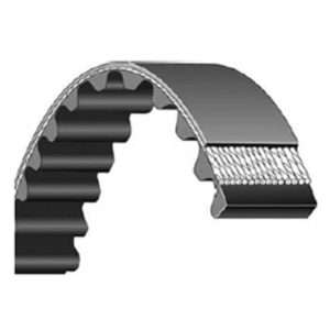 Correas Dentadas