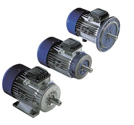 MGM 3 Phase TEFC Motors SM_SMX