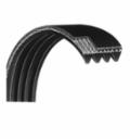 V Ribbed Belts