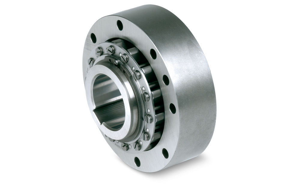 Centrifugally Lift Off Sprags Freewheels RSCI 20 130