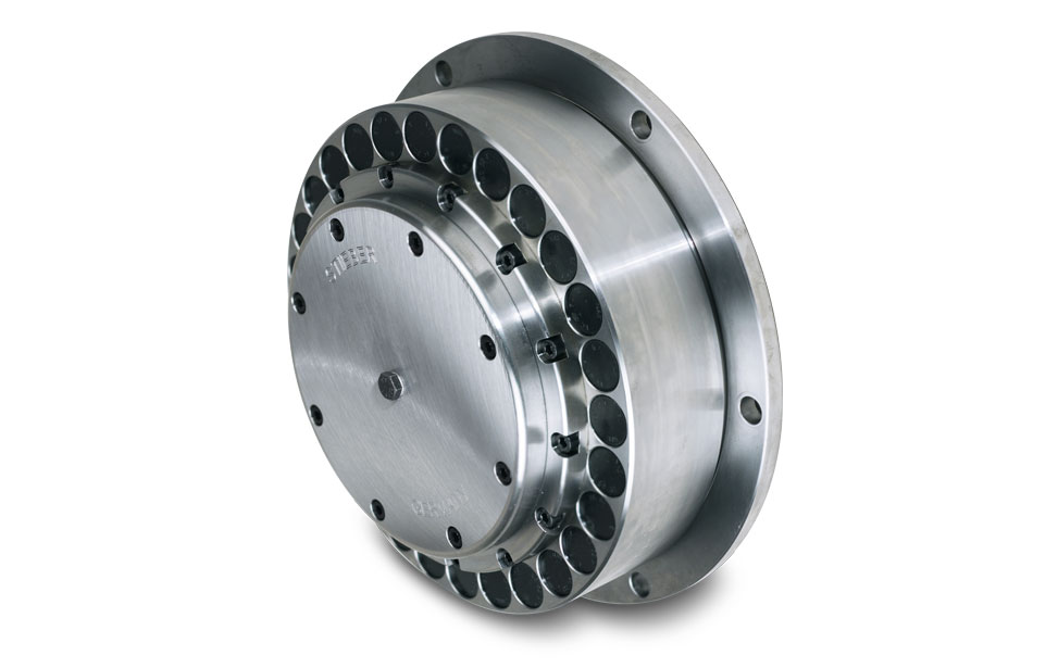 Centrifugally Lift Off Sprags Freewheels RSRV & RSRT