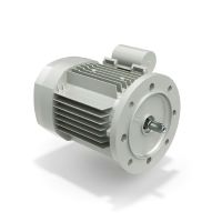 Motor Monofásico Asíncrono Serie BS