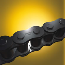 Renold A&S Roller Chains