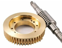 Renold Dual Lead Worm Gears