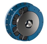 Renold RBI series Flexible Couplings