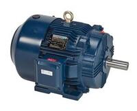 Marathon 3 Phase Totally Enclosed General Purpose Motors