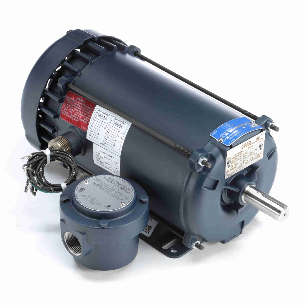 Leeson 3 Phase Explosion Proof Motors