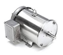 Leeson 3 Phase Premium Duck Motors