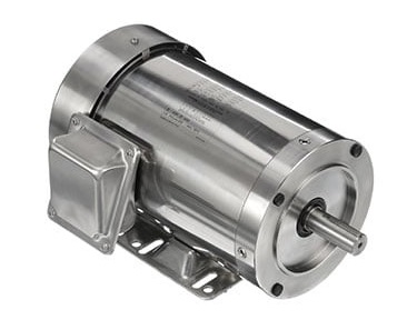 Leeson 3 Phase SST Duck Motors