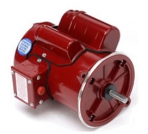 Leeson 3 Phase Definite Purpose Farm Motors