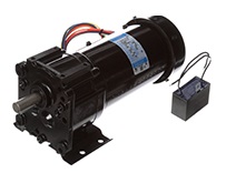 Leeson Parallel Shaft Gear Motors P240 Series SUB FHP