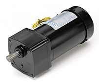 Leeson Parallel Shaft Gear Motors PE350 Series