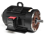 Motores Trifásicos de Servicio Inverter Black Max Marathon