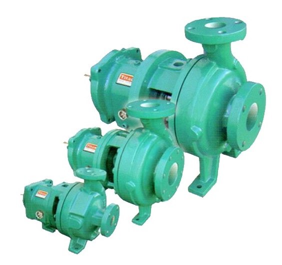 Titan Ansi 4196 Pumps
