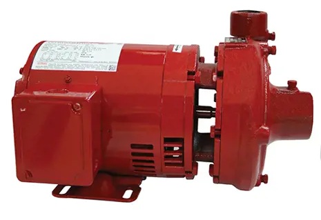 Bell & Gossett Series e 1535 Small End Suction Pumps