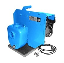 Goulds Water Technology 2AM32 P Self Priming Petroleum Pumps