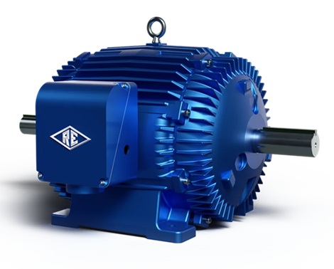 Reuland SS 100 Inverter Vector Duty Motors