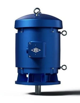 Reuland Vertical Pump Motors