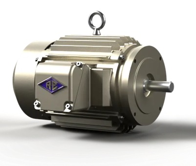 Reuland Line Start Permanent Magnet Motors
