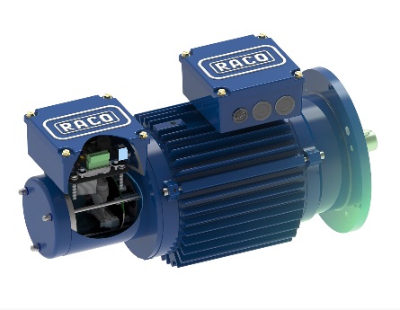 Motores de Inducción Asíncronos de CA Trifásicos de RACO