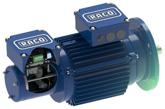 RACO Asynchronous Three Phase AC Induction Motors