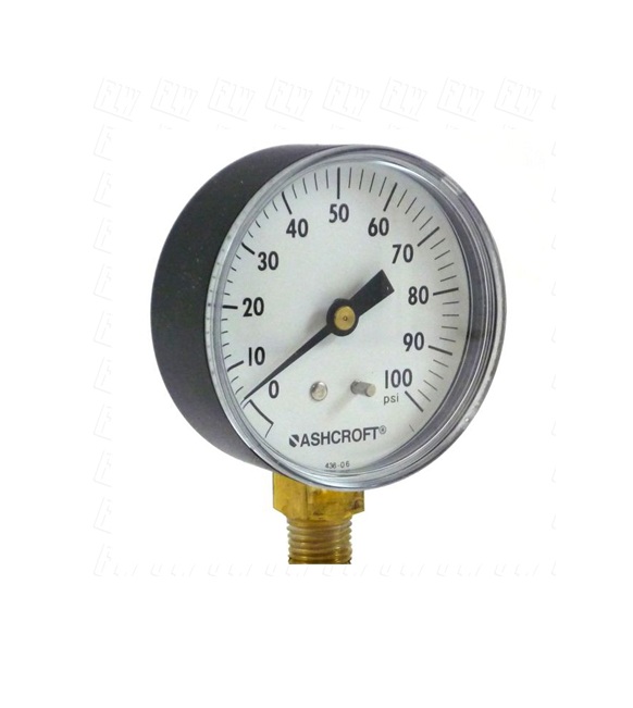Ashcroft 35-W-1005-H-02L-100 Pressure Gauge