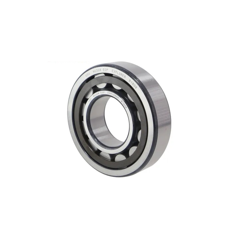 Bearings Limited NU318 Cylindrical Roller Bearing