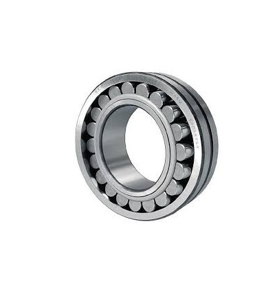 Nachi N305 Cylindrical Roller Bearing